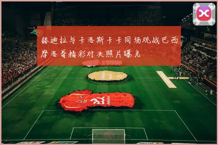 赫迪拉与卡洛斯卡卡同场观战巴西摩洛哥精彩对决照片曝光
